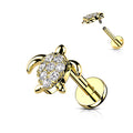 Piercing Dorado Tortuga con Zirconia