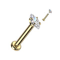 Piercing Dorado Mini Marquesa 8 mm